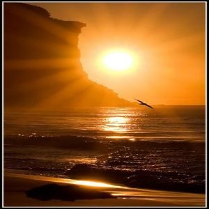 1 Always The Sun 1 Always The Sun