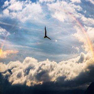 25-On-The-Wings-Of-Forgiveness.jpg 25-On-The-Wings-Of-Forgiveness.jpg
